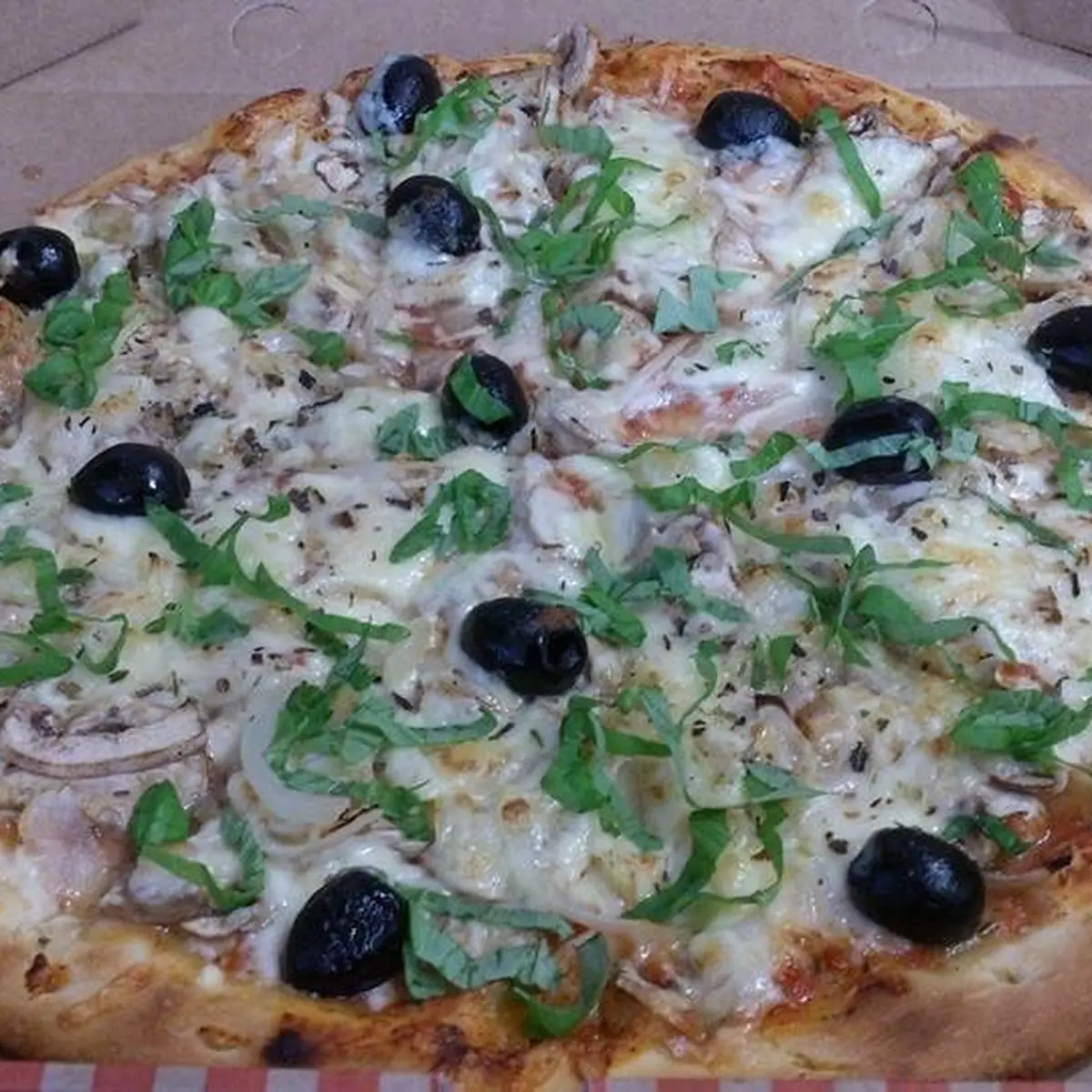 Highlight 16