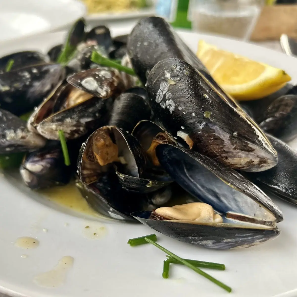 Miesmuscheln