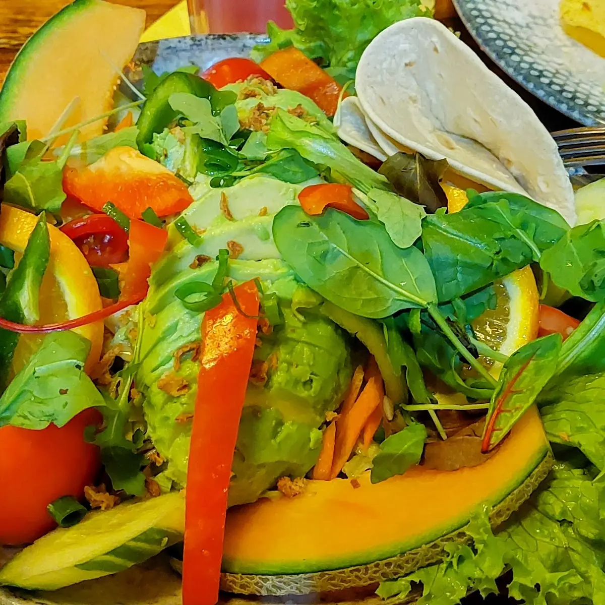 Avocado Salatteller
