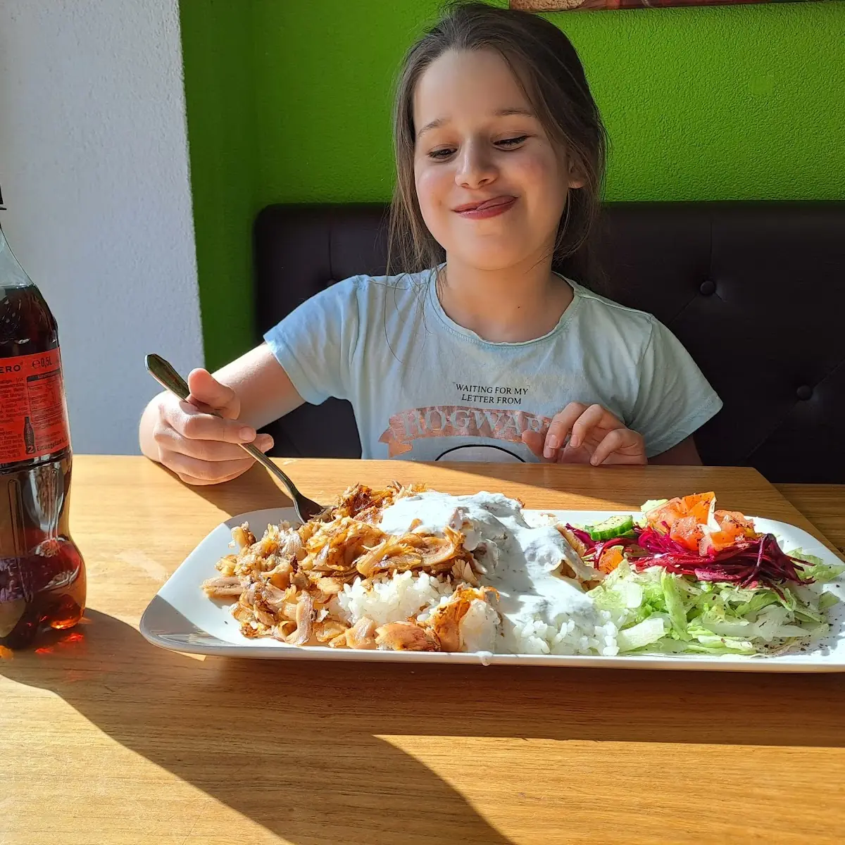 Dönerteller Mit Reis