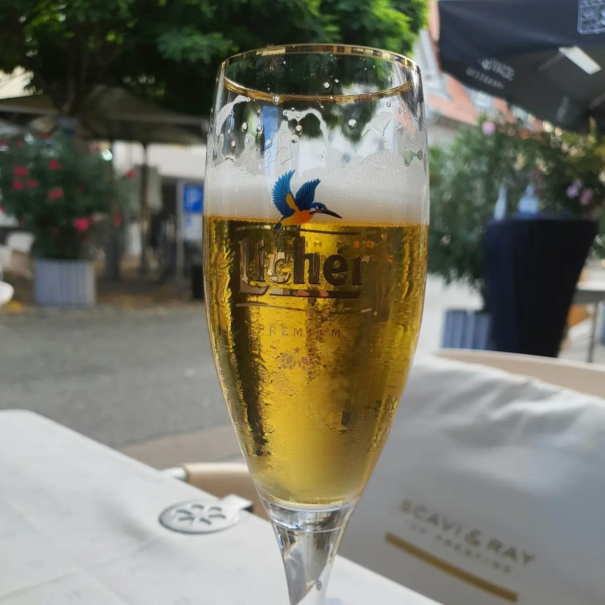 Pils, Ristorante Riviera