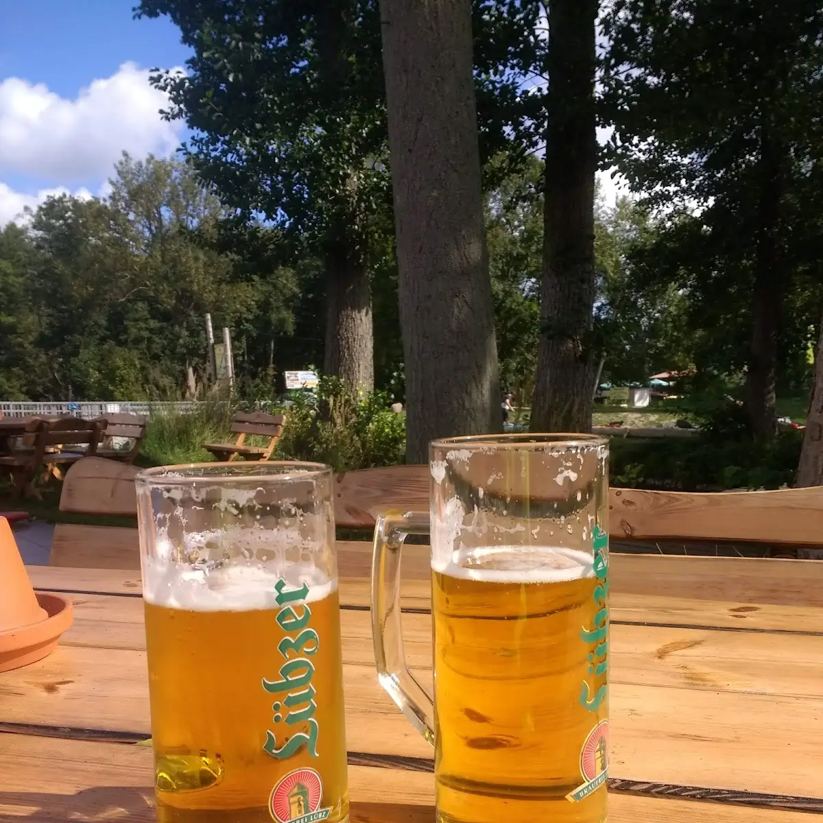 Bier