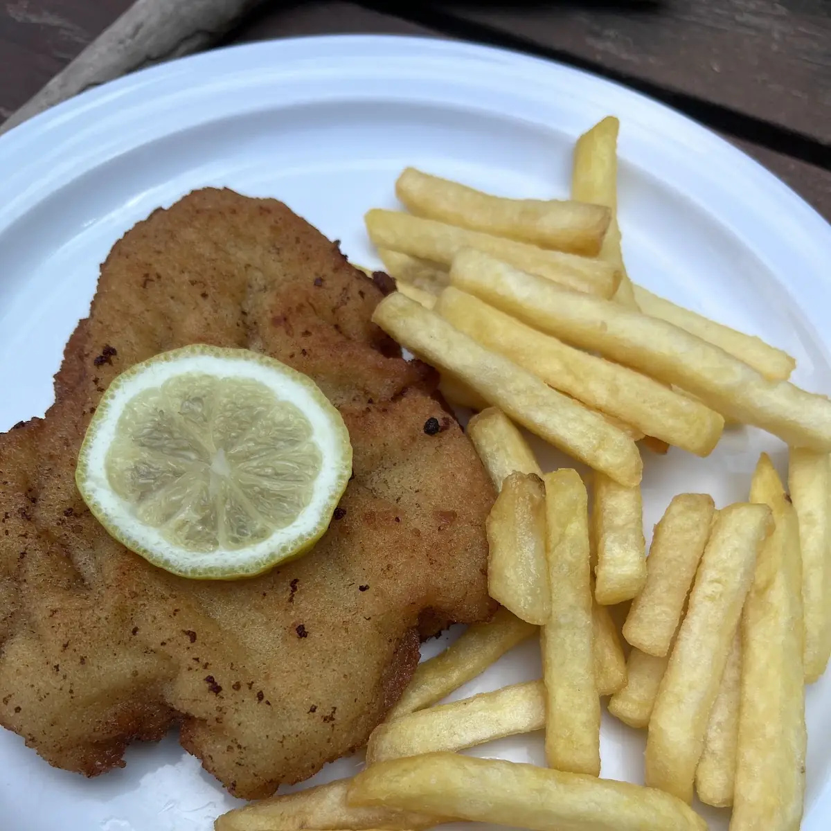 Schnitzel, Naturfreundehaus Finsterbrunnertal