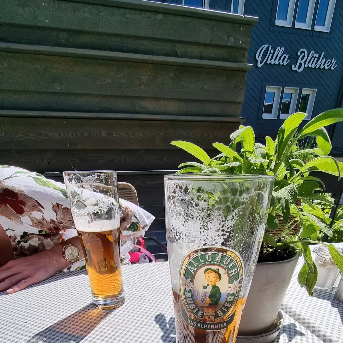 Bier