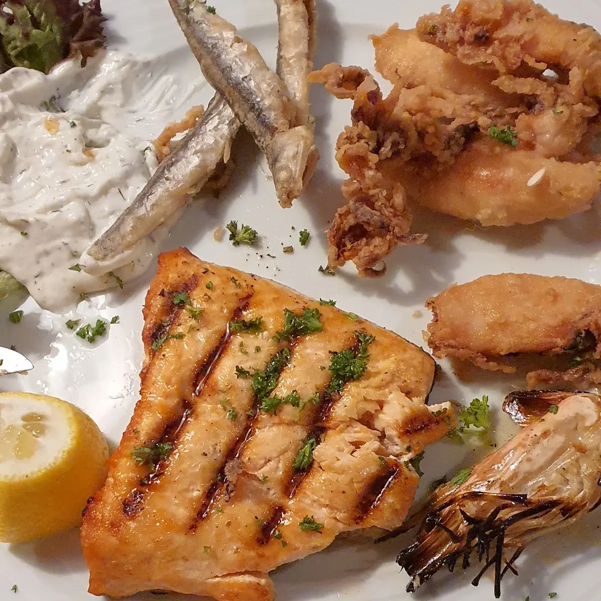 Fisch Teller
