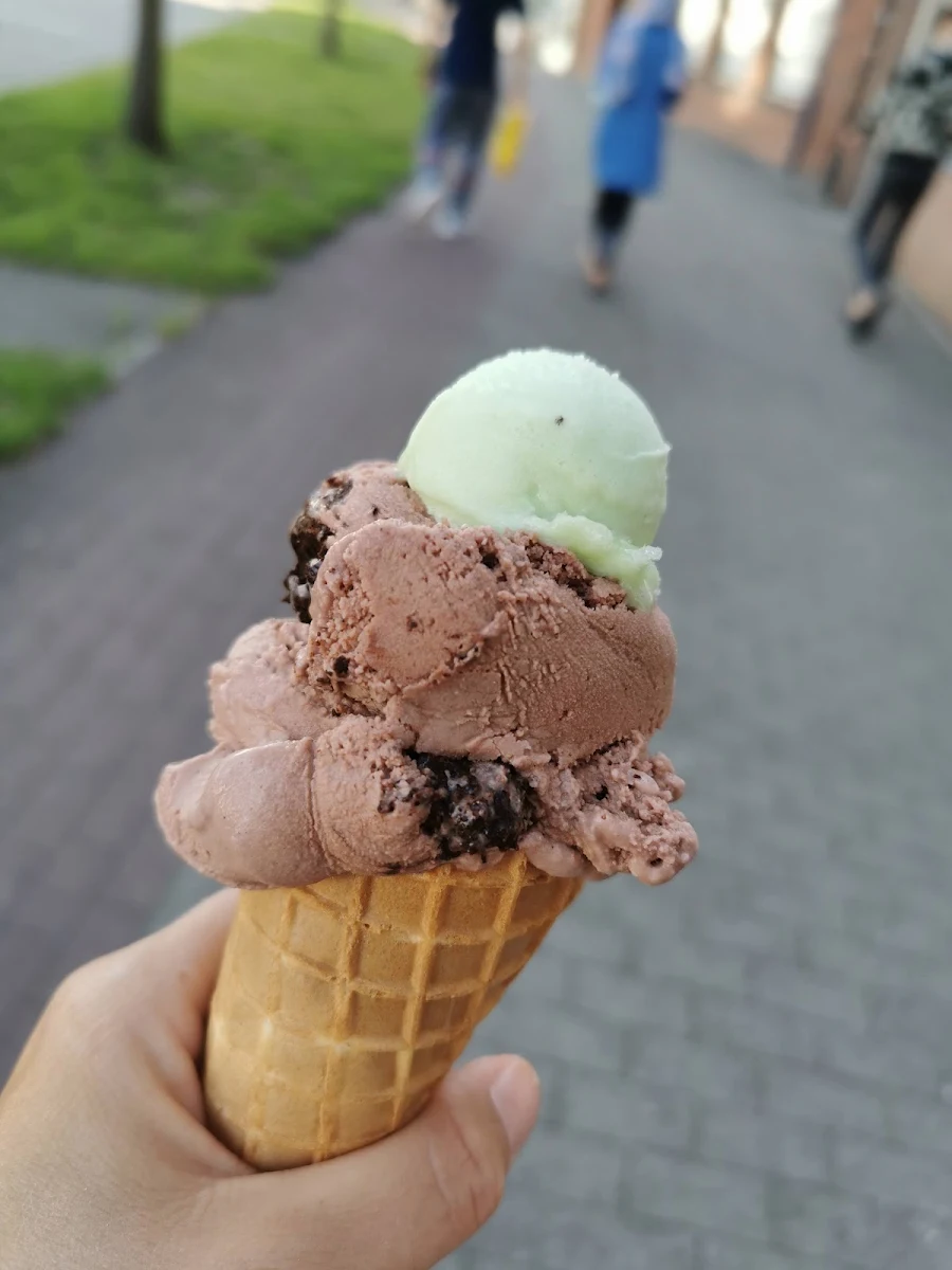 Brownie, eisbar Bad Oldesloe