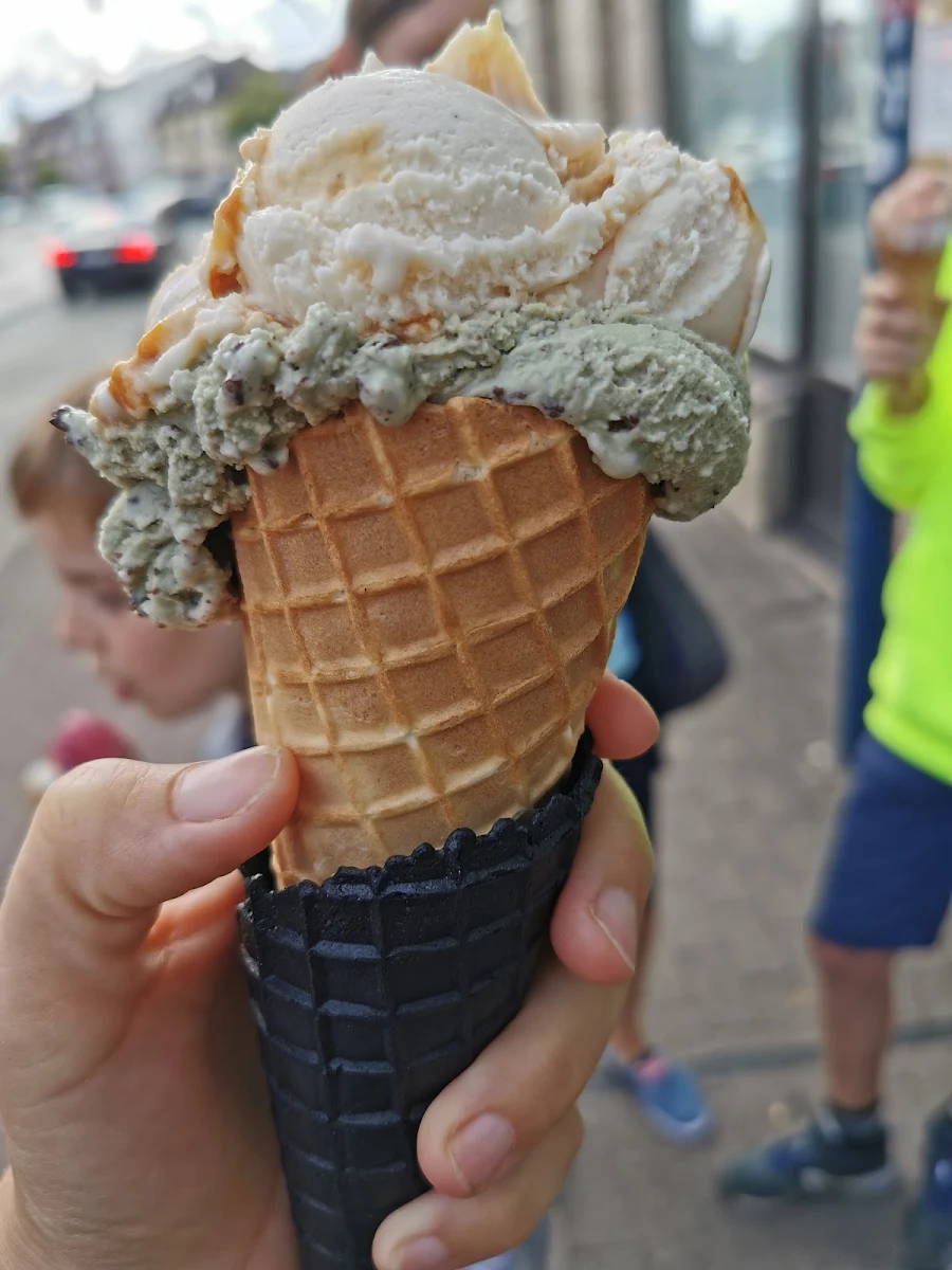 Highlights, eisbar Bad Oldesloe
