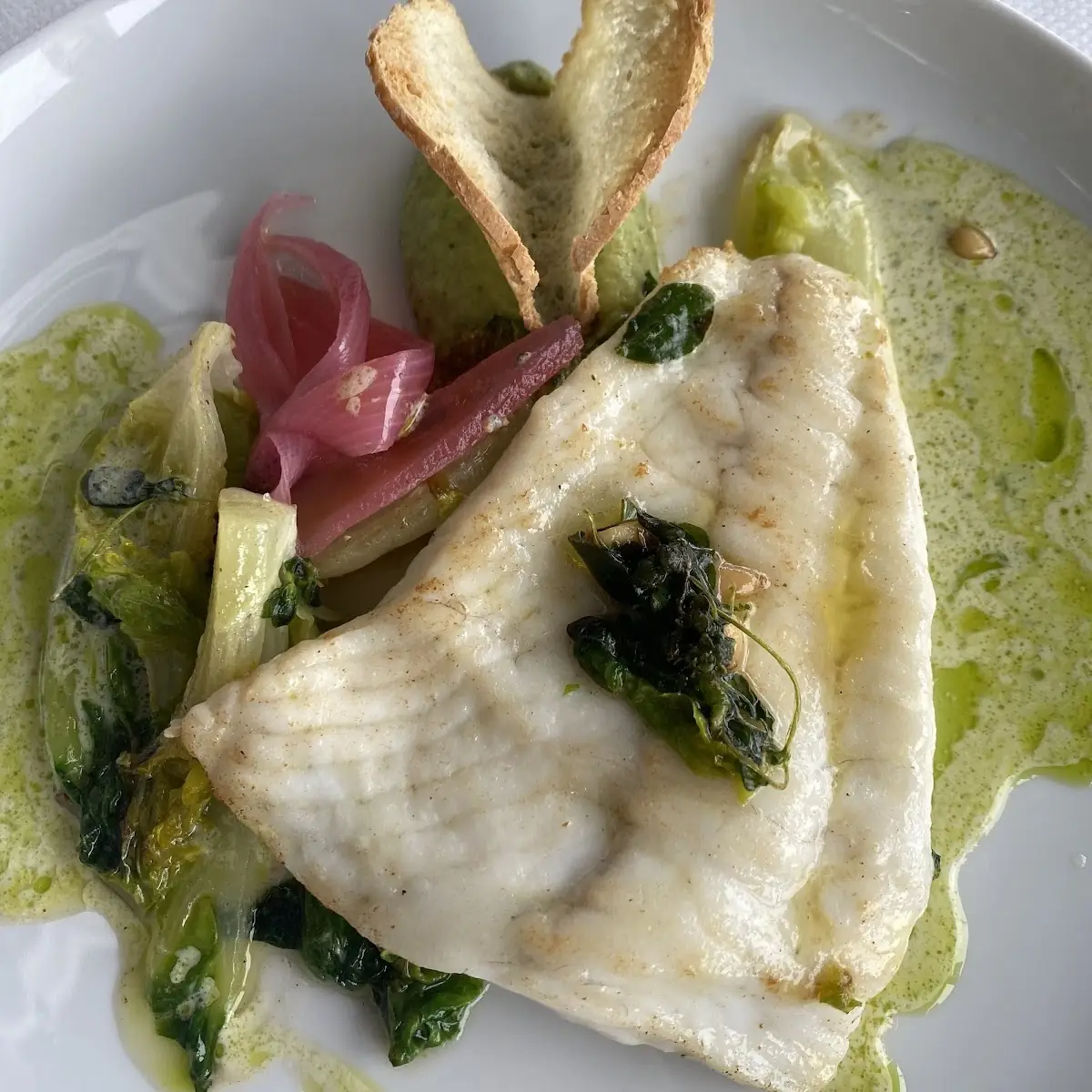 Fish