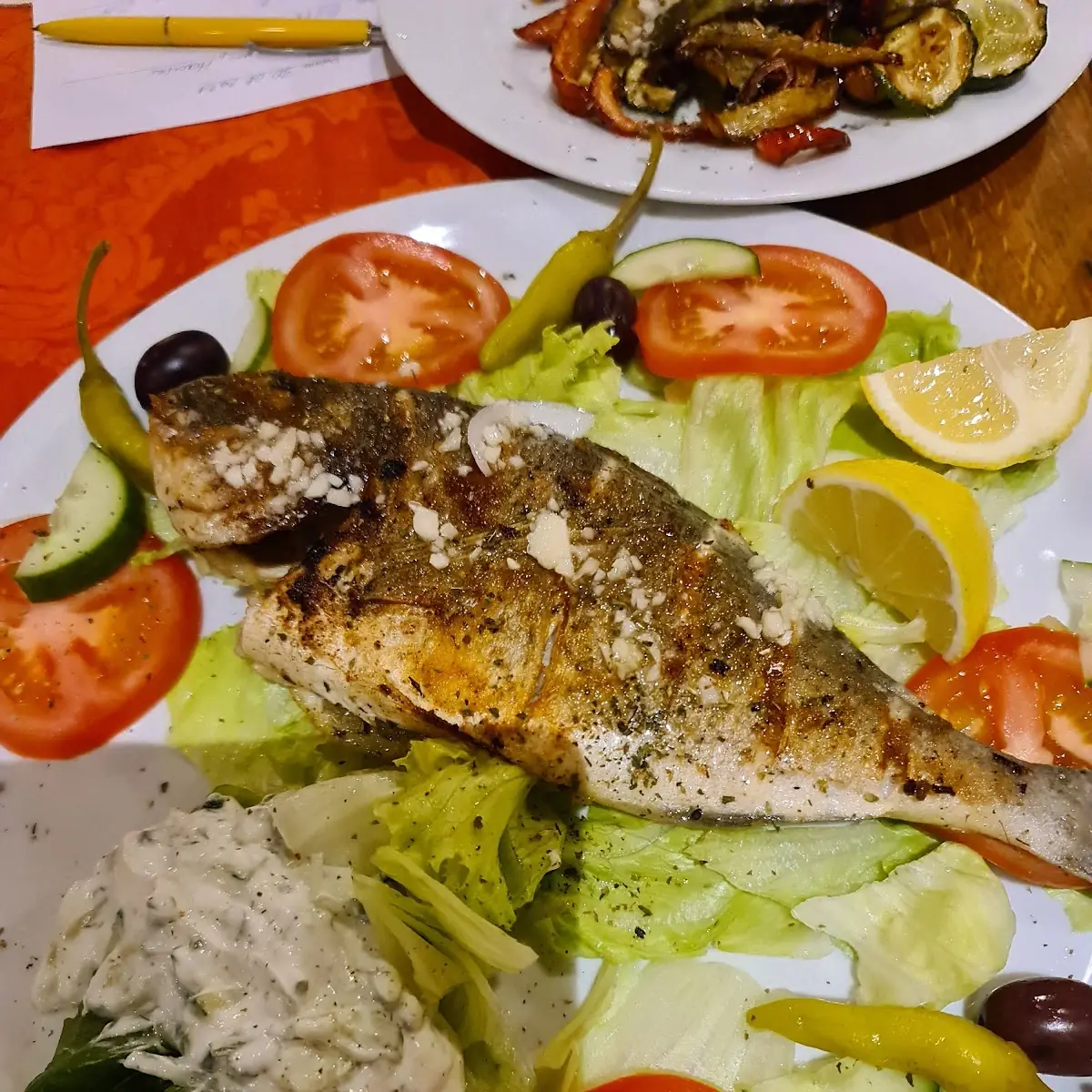Dorade, SYRTAKI