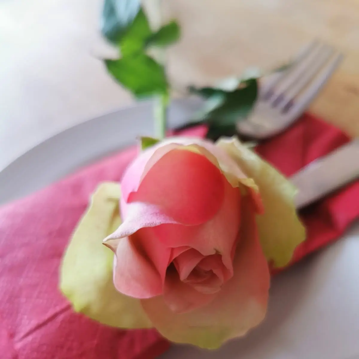 Highlights, Pizzeria Pizz e Cor Neuss