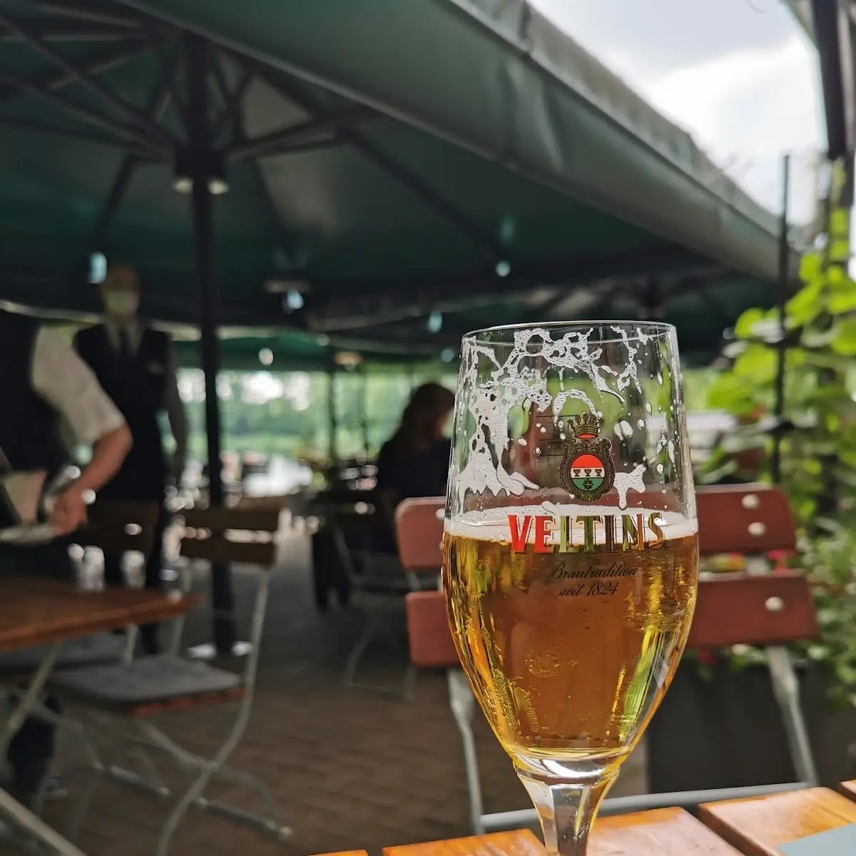 Bier