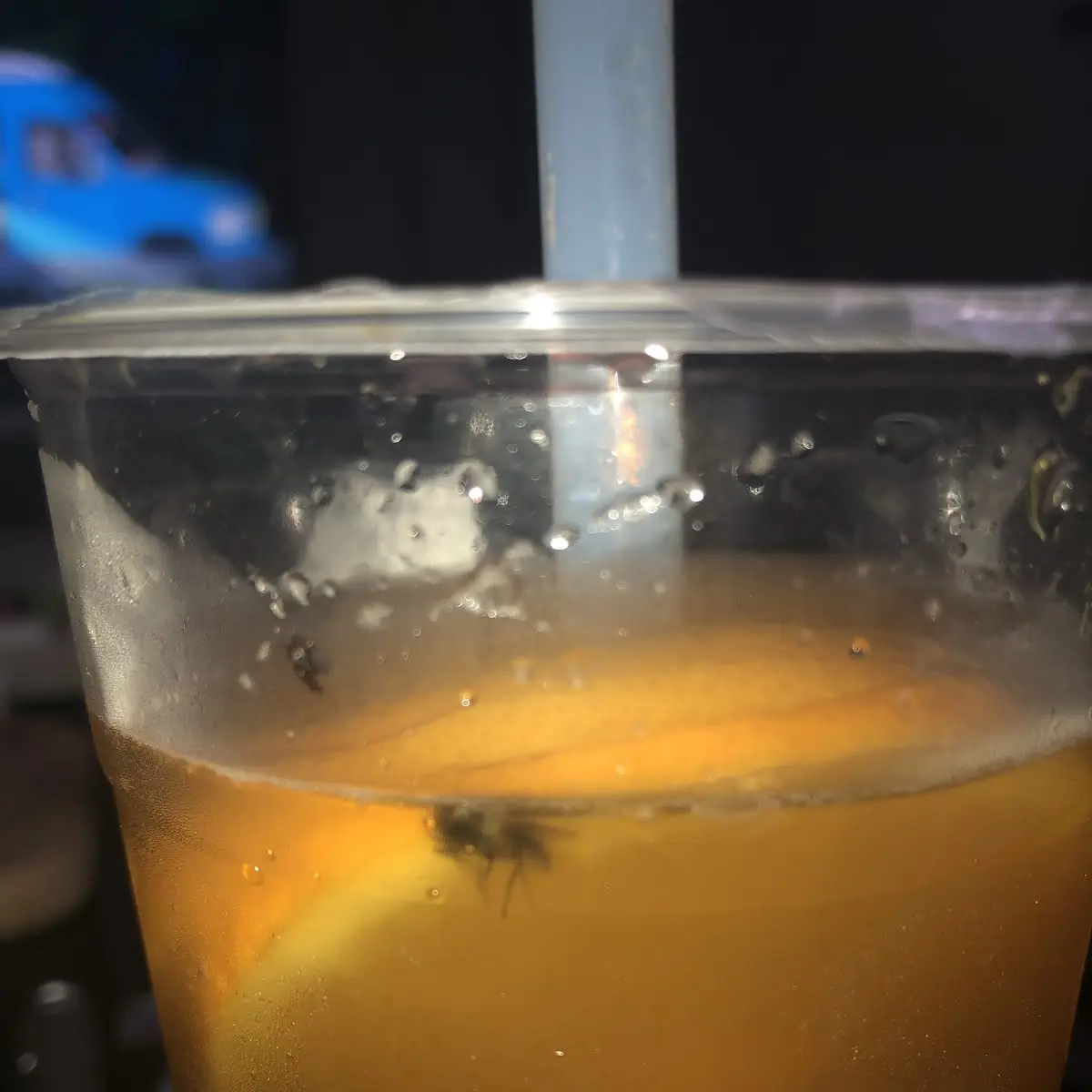 Highlights, Quang Asia Bistro