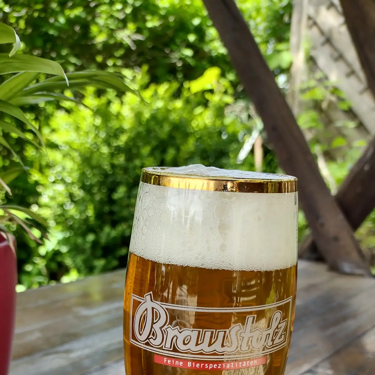 Bier