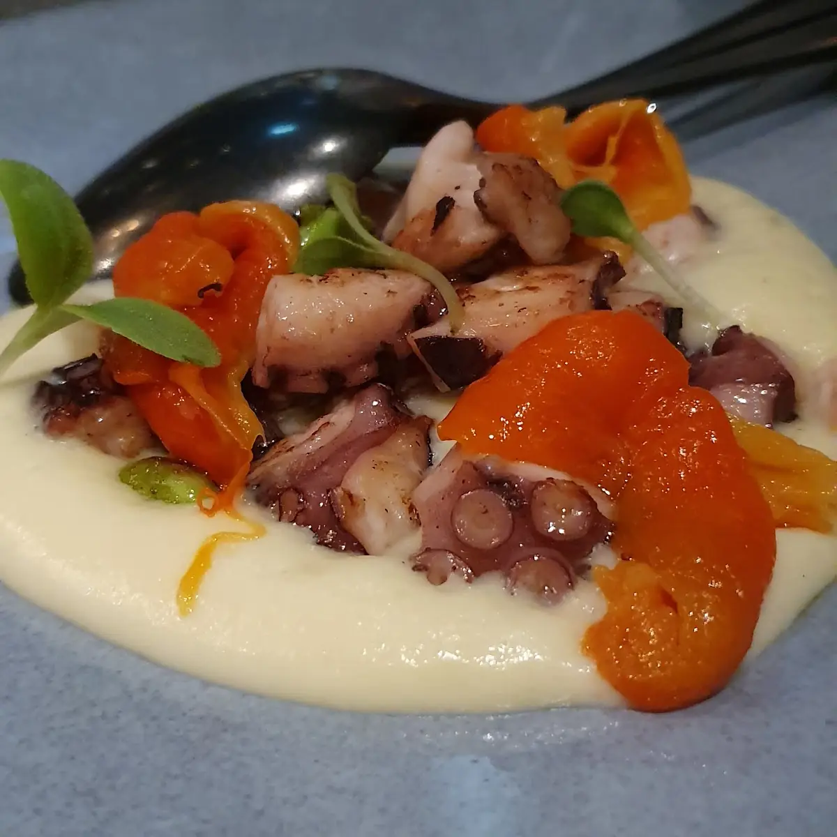 Pulpo