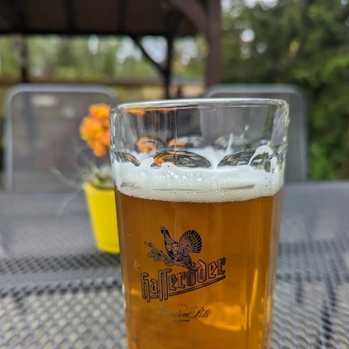 Beer, Leistenhaus am See