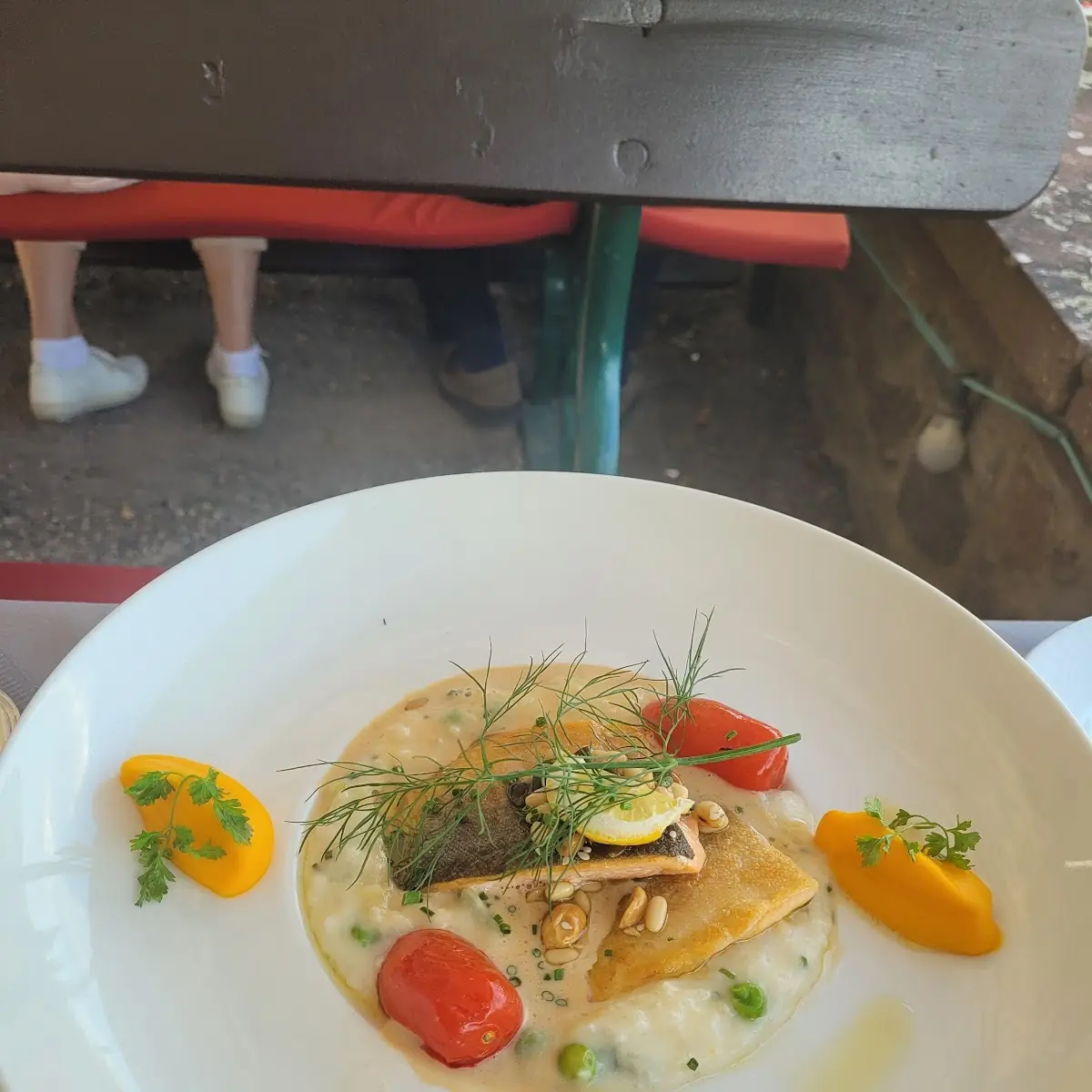 Saibling Auf Risotto