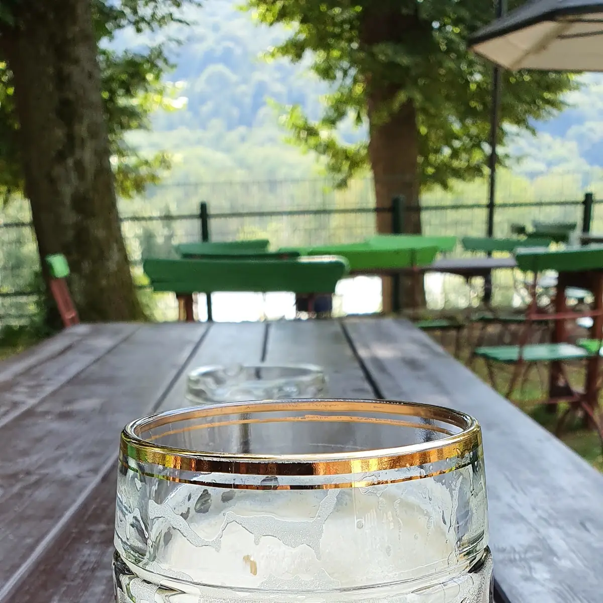 Bier