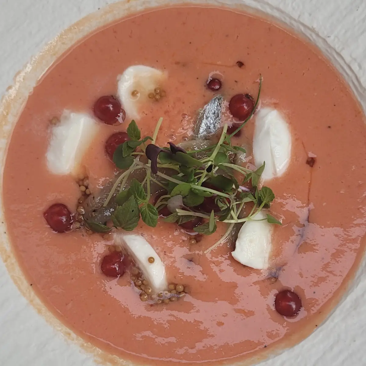 Gazpacho