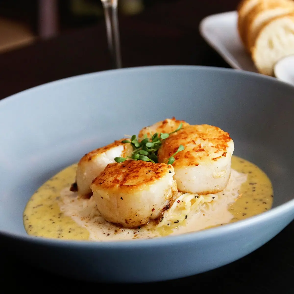 Scallops