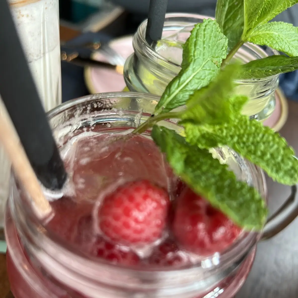 Raspberry Mojito