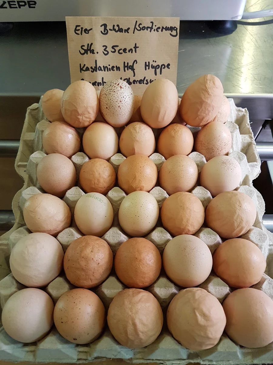 Egg