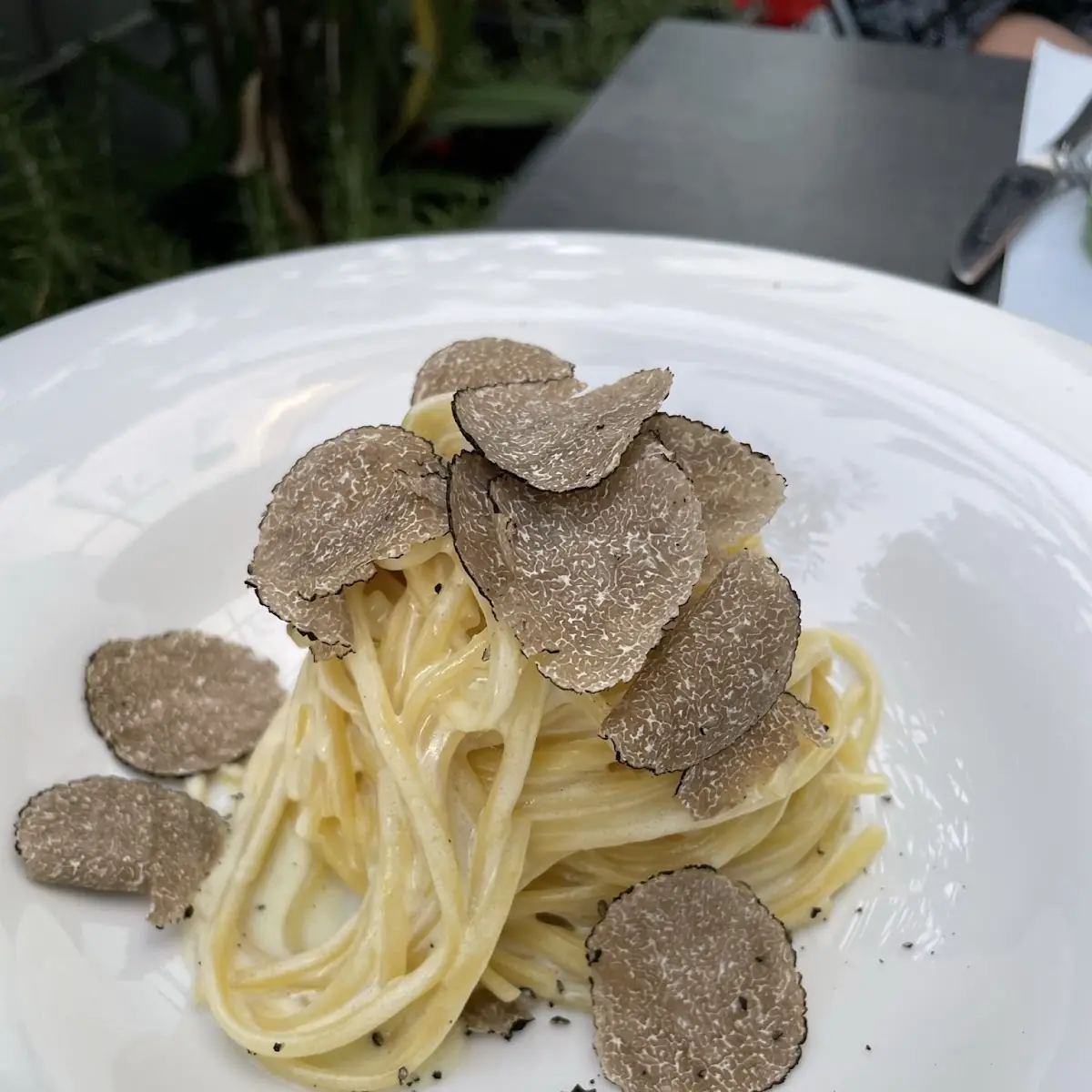 Truffle
