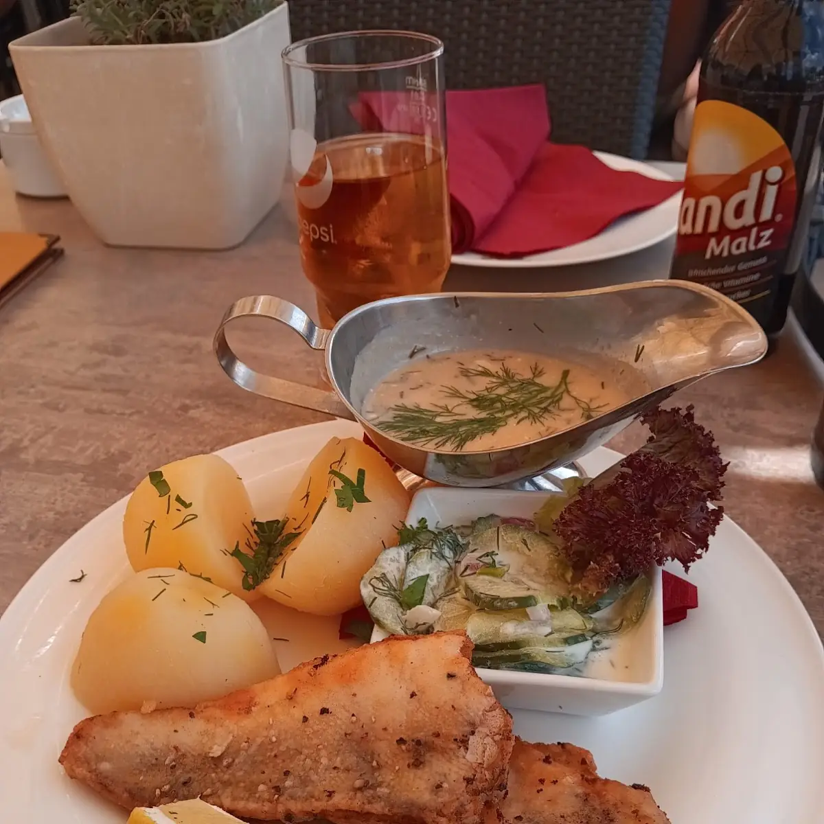 Zanderfilet, SPREE.Erlebnisrestaurant
