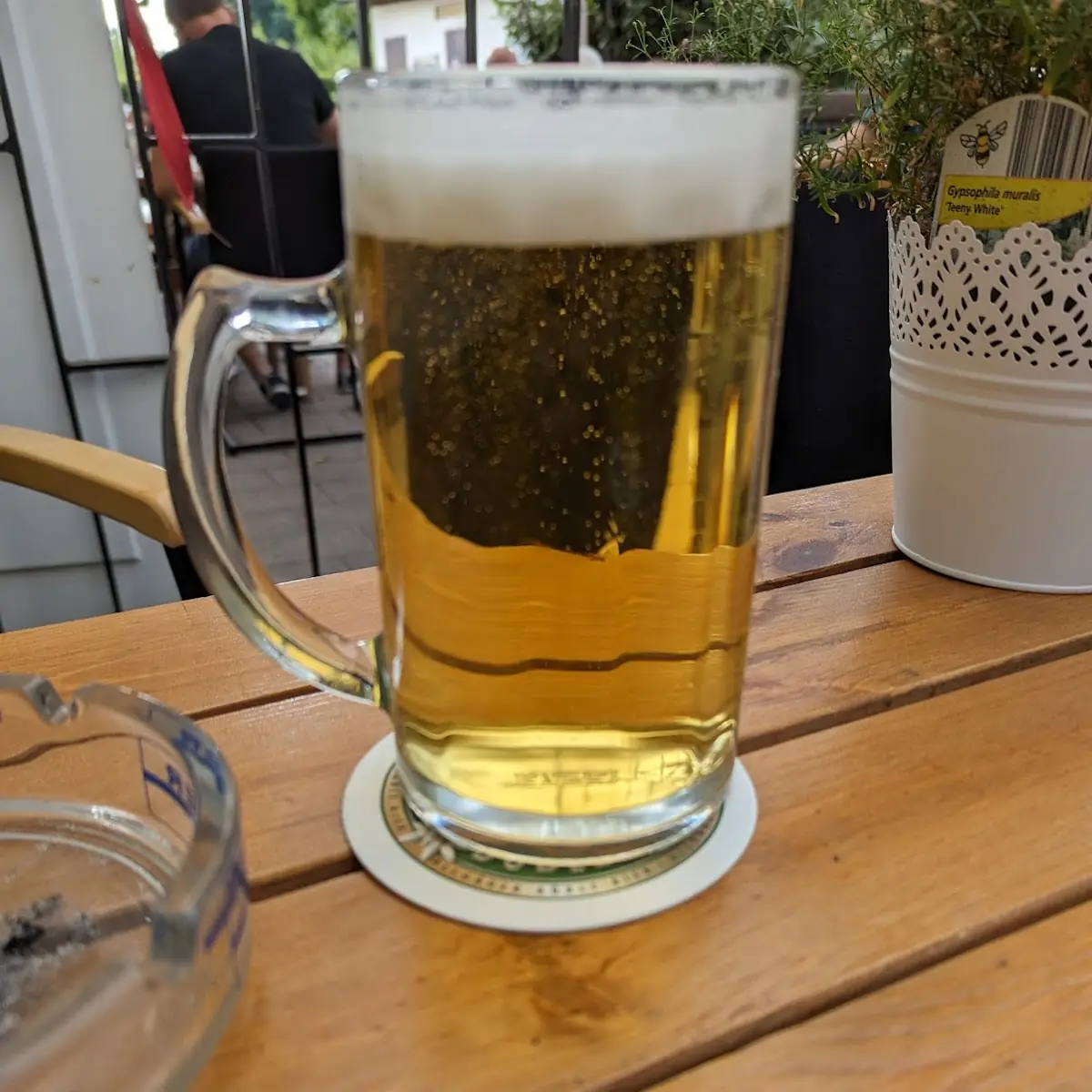 Bier