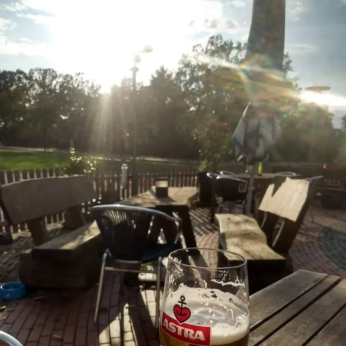 Bier