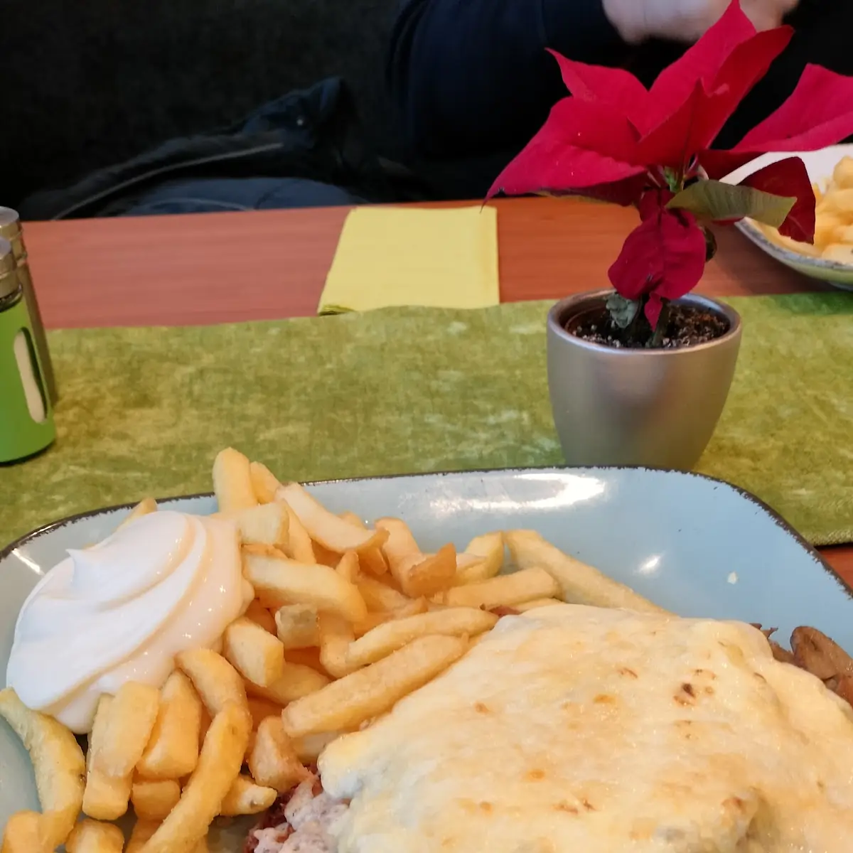 Hausschnitzel