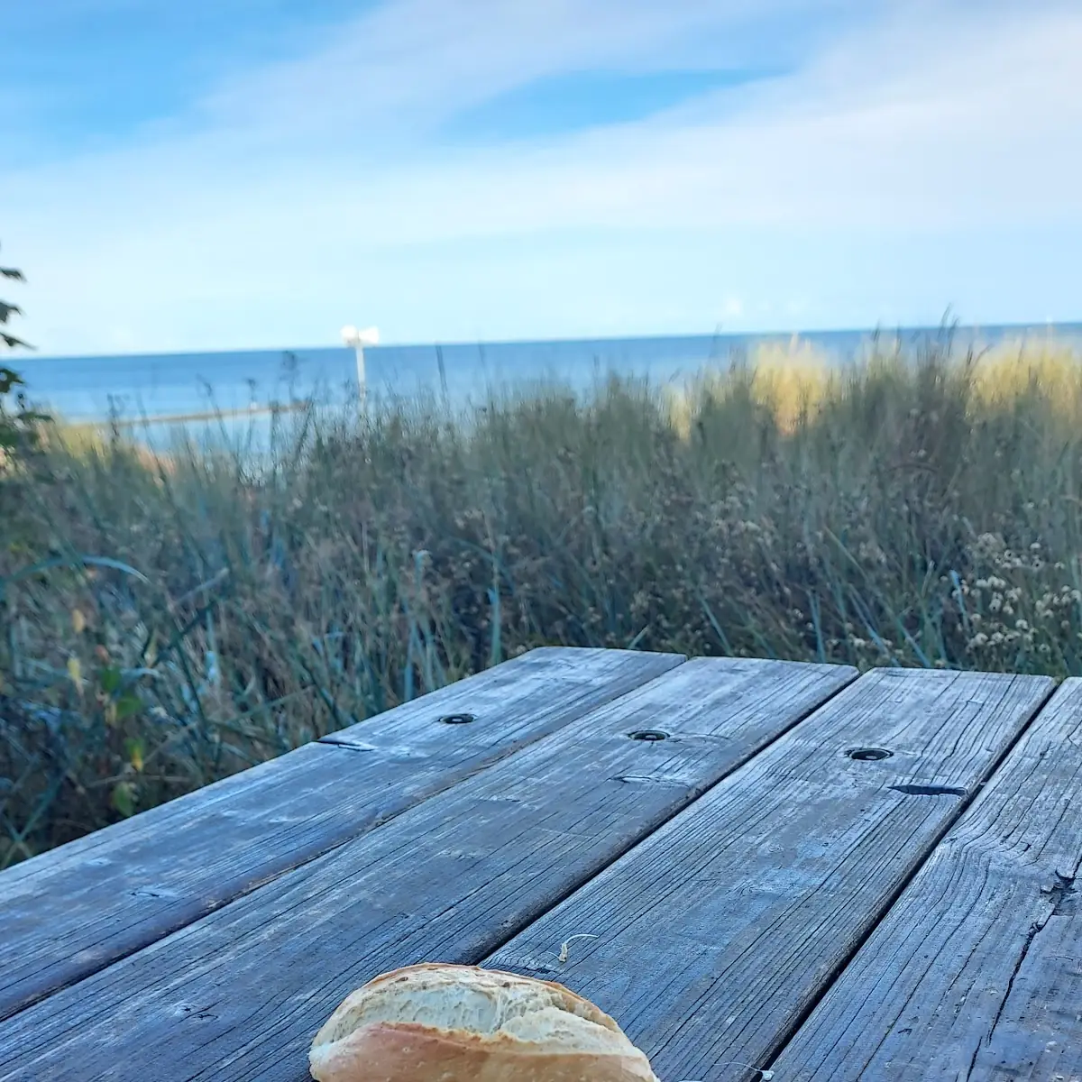 Bratheringbrötchen