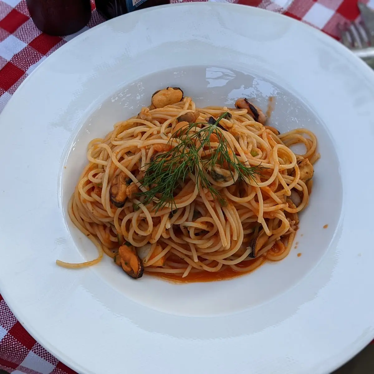 Spaghetti Scolio