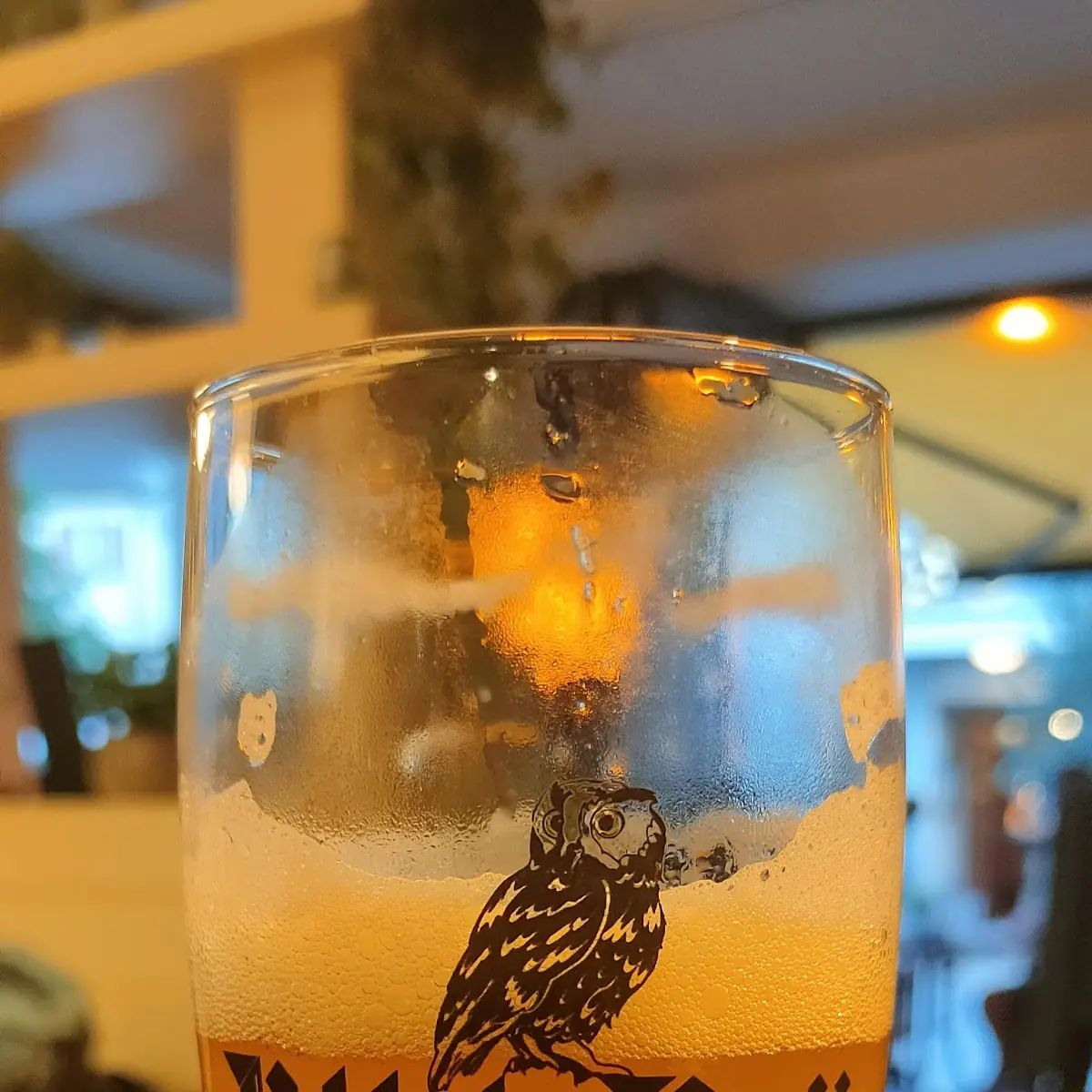 Nickl Helles