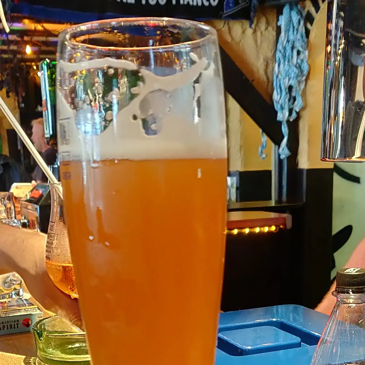Bier