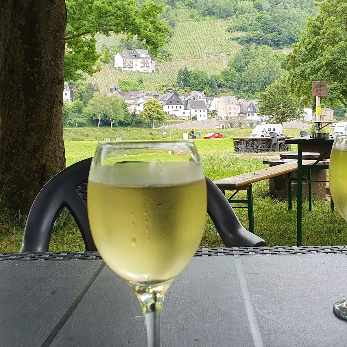 Riesling