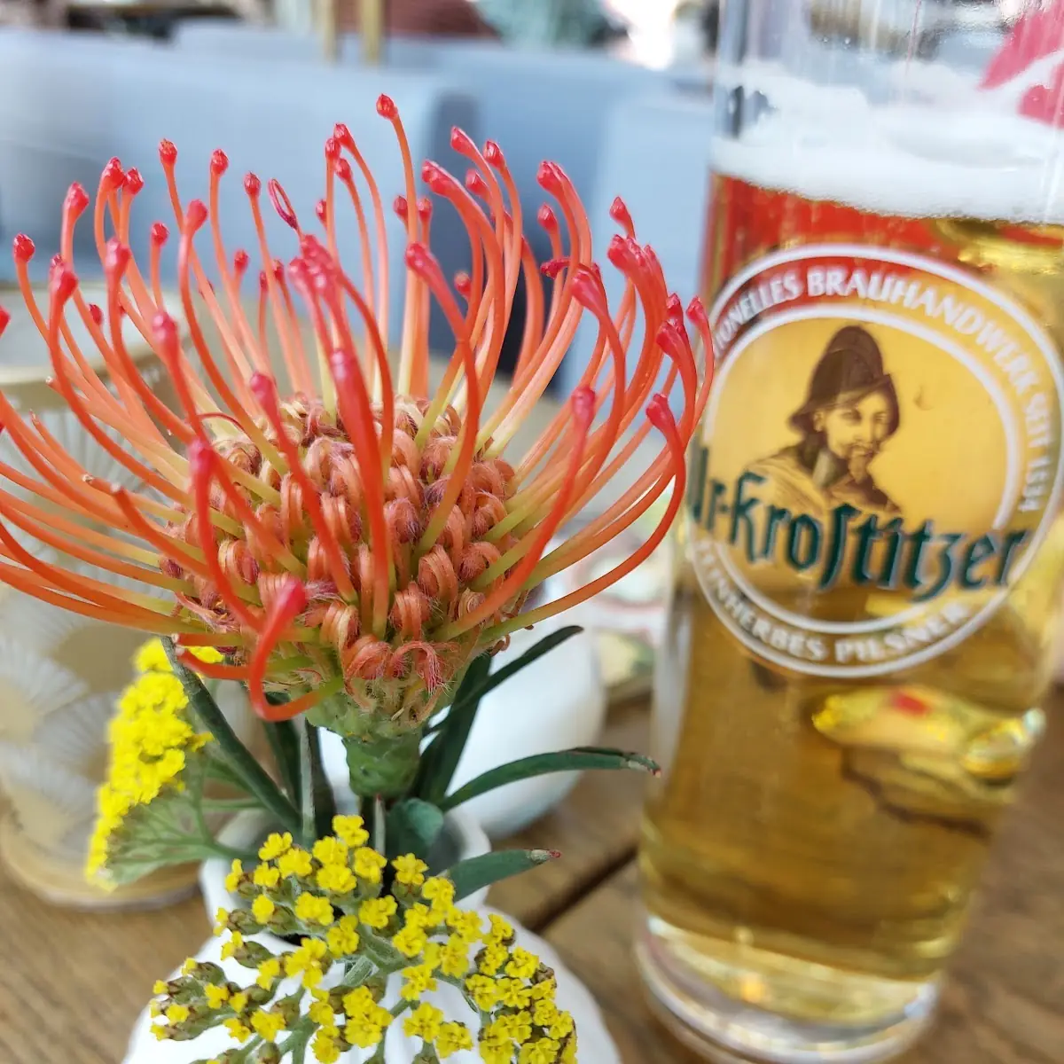 Bier