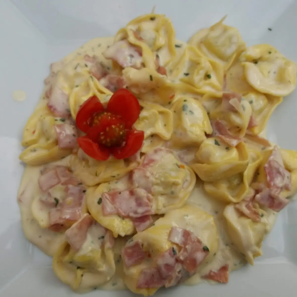 Tortellini