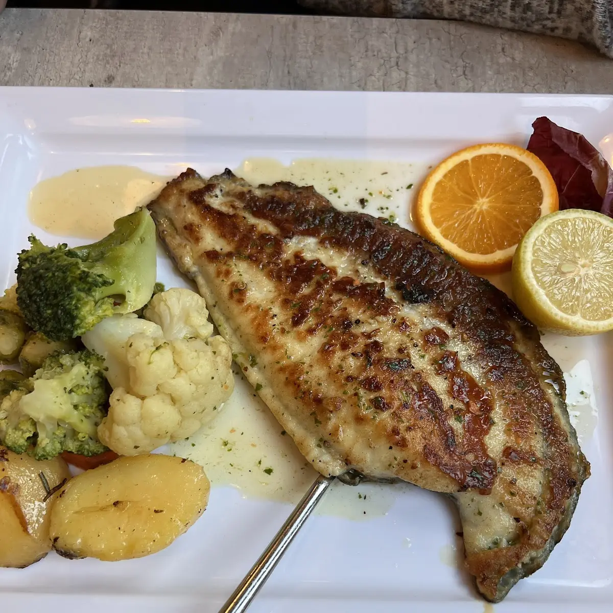 Dorade