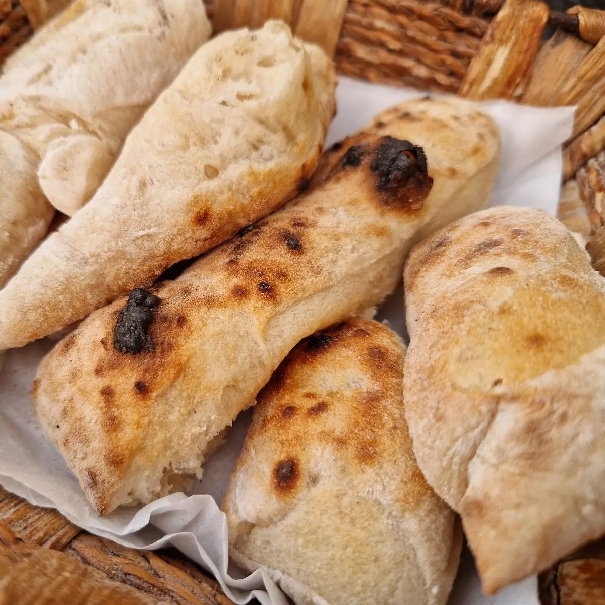 Panini