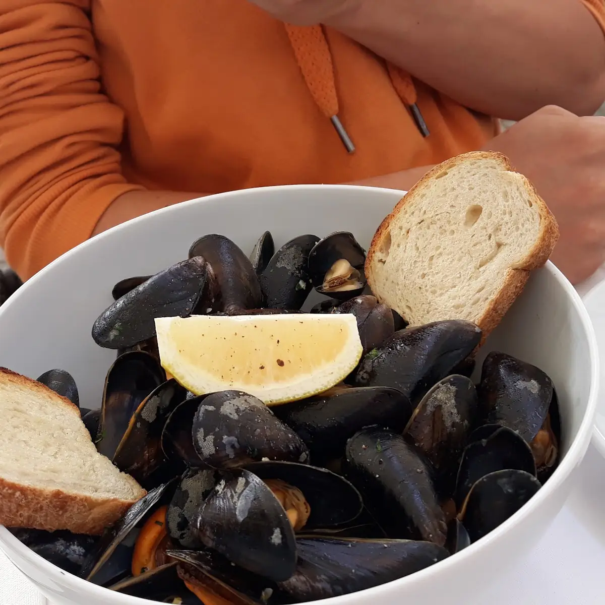 Mussel