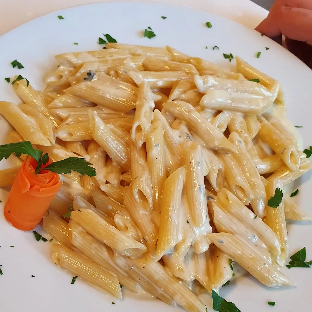 Rigatoni 4 Käsesorten