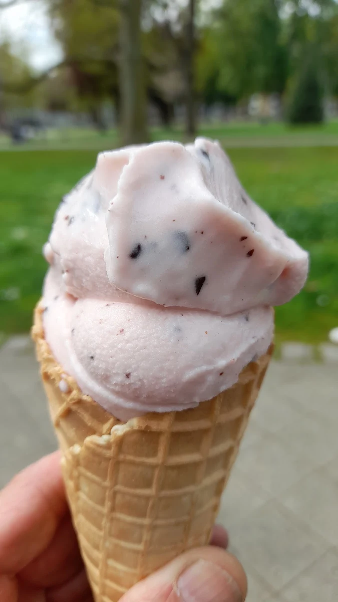 Jogurt