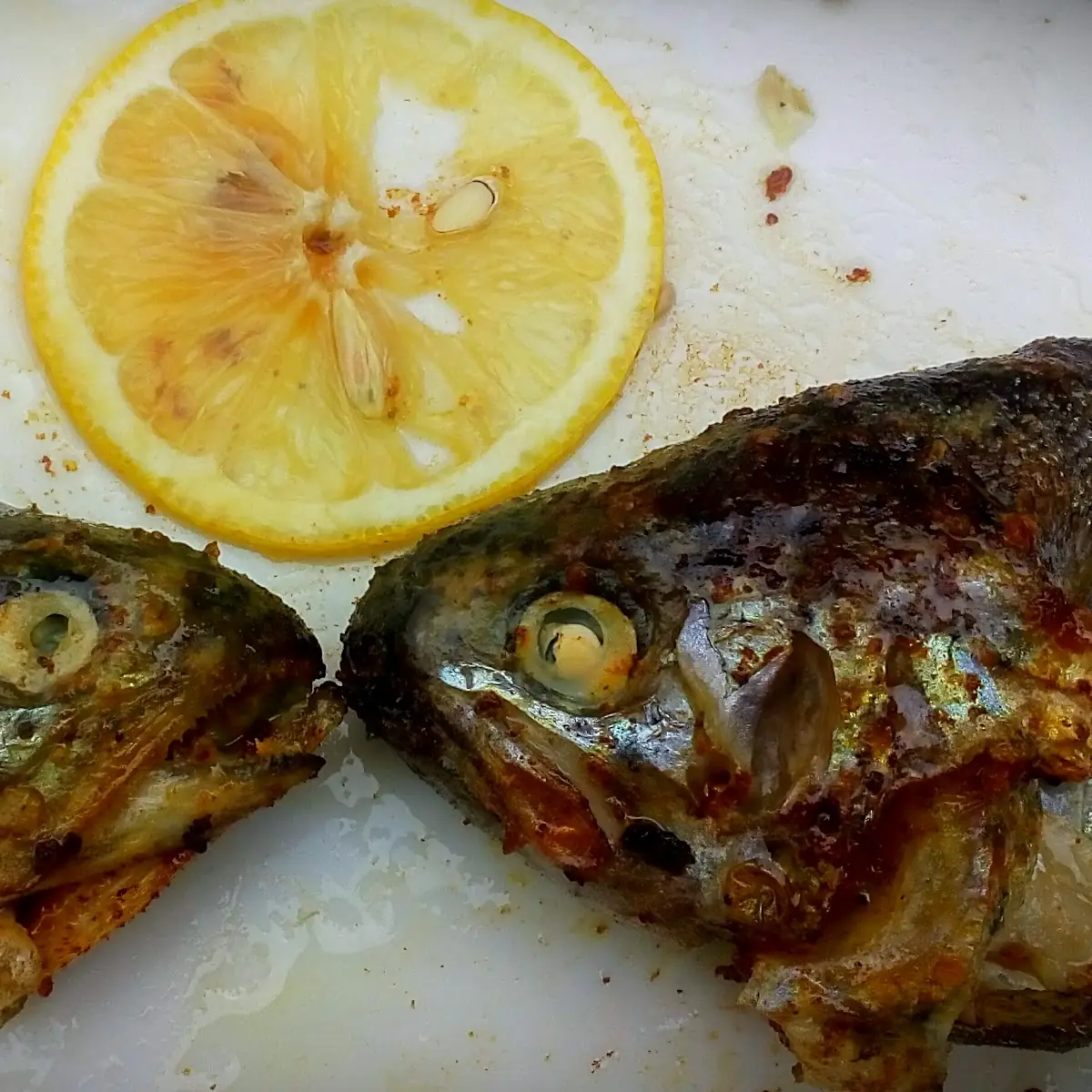 Gegrillte Forelle