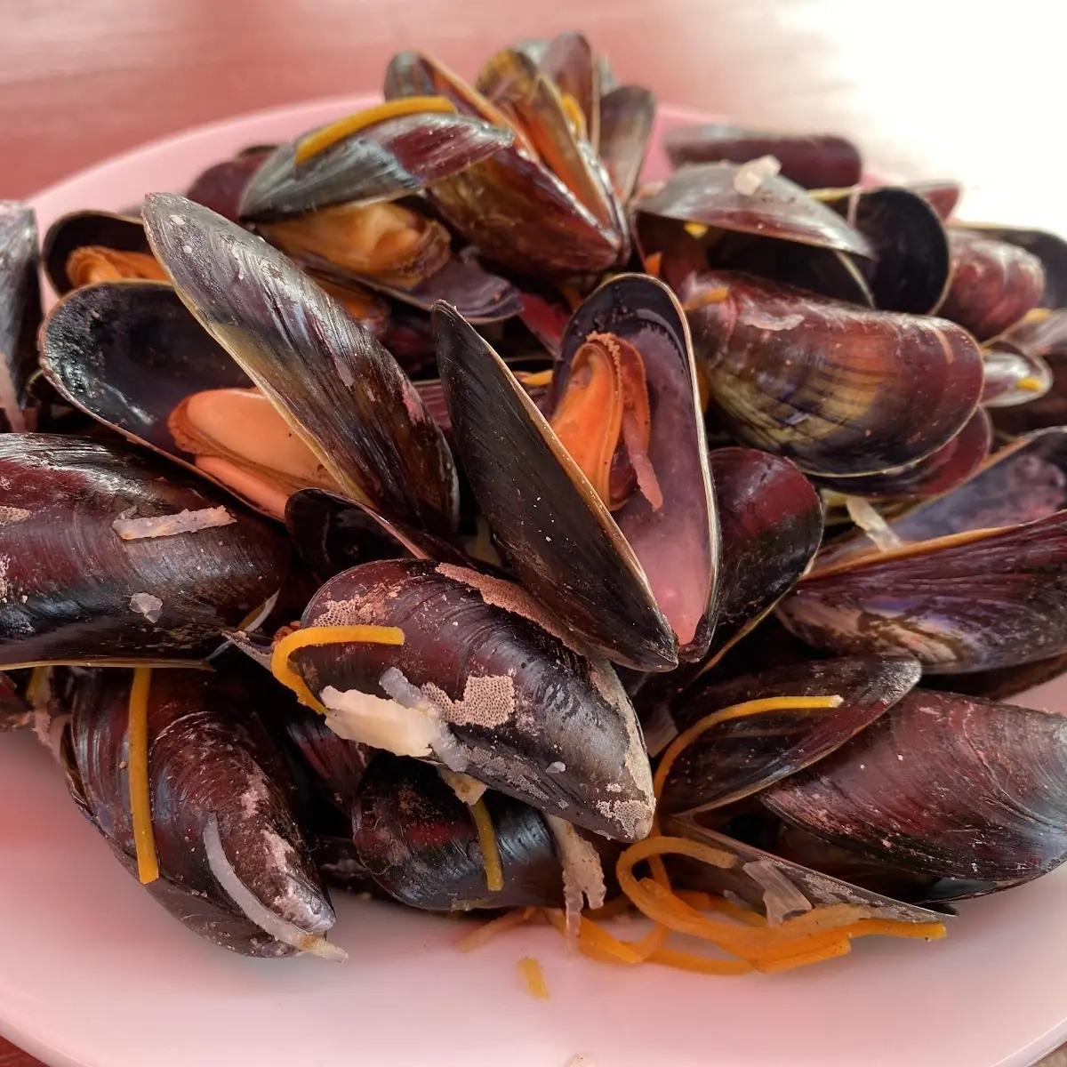 Muscheln