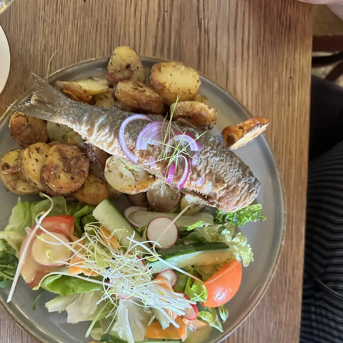 Herring