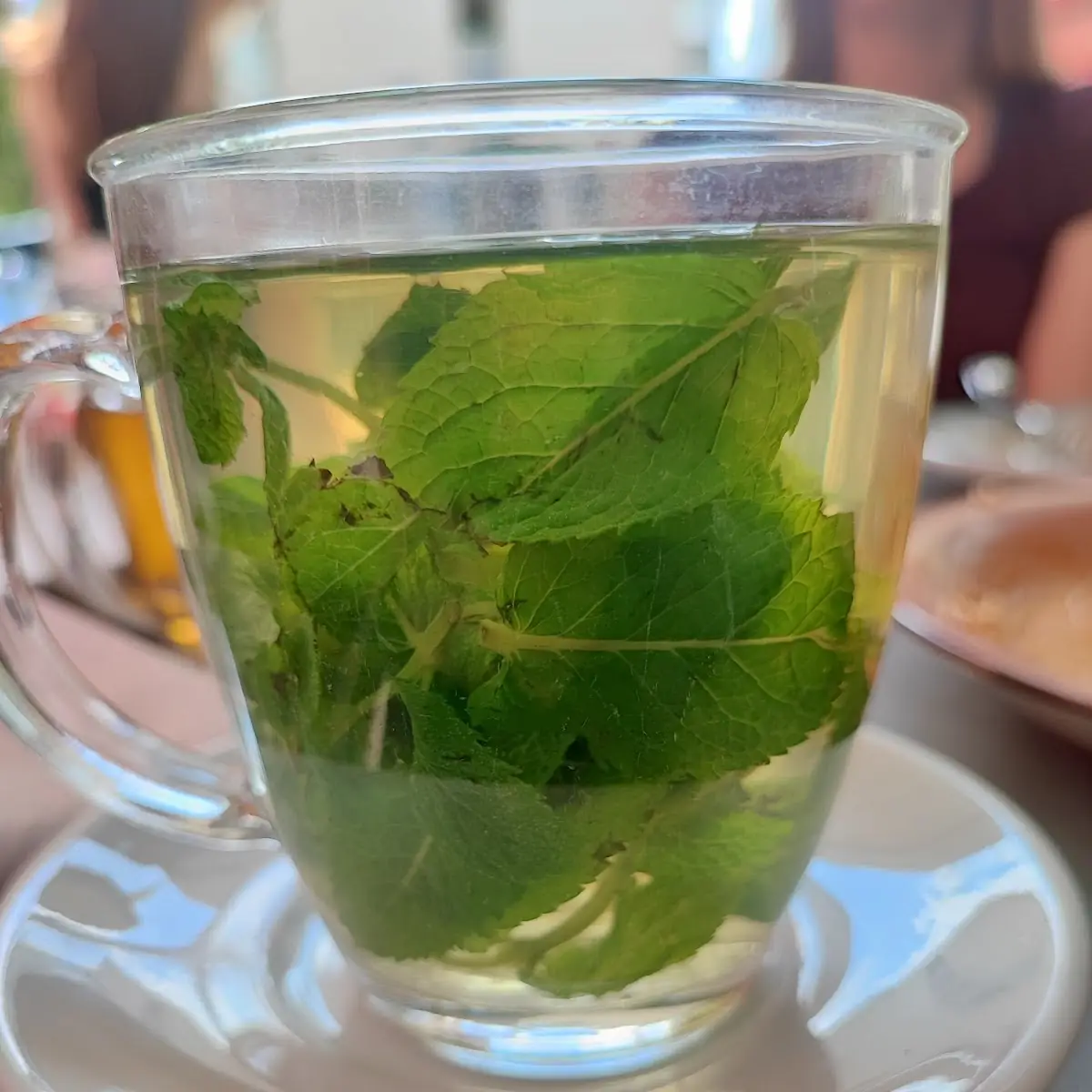 Mint