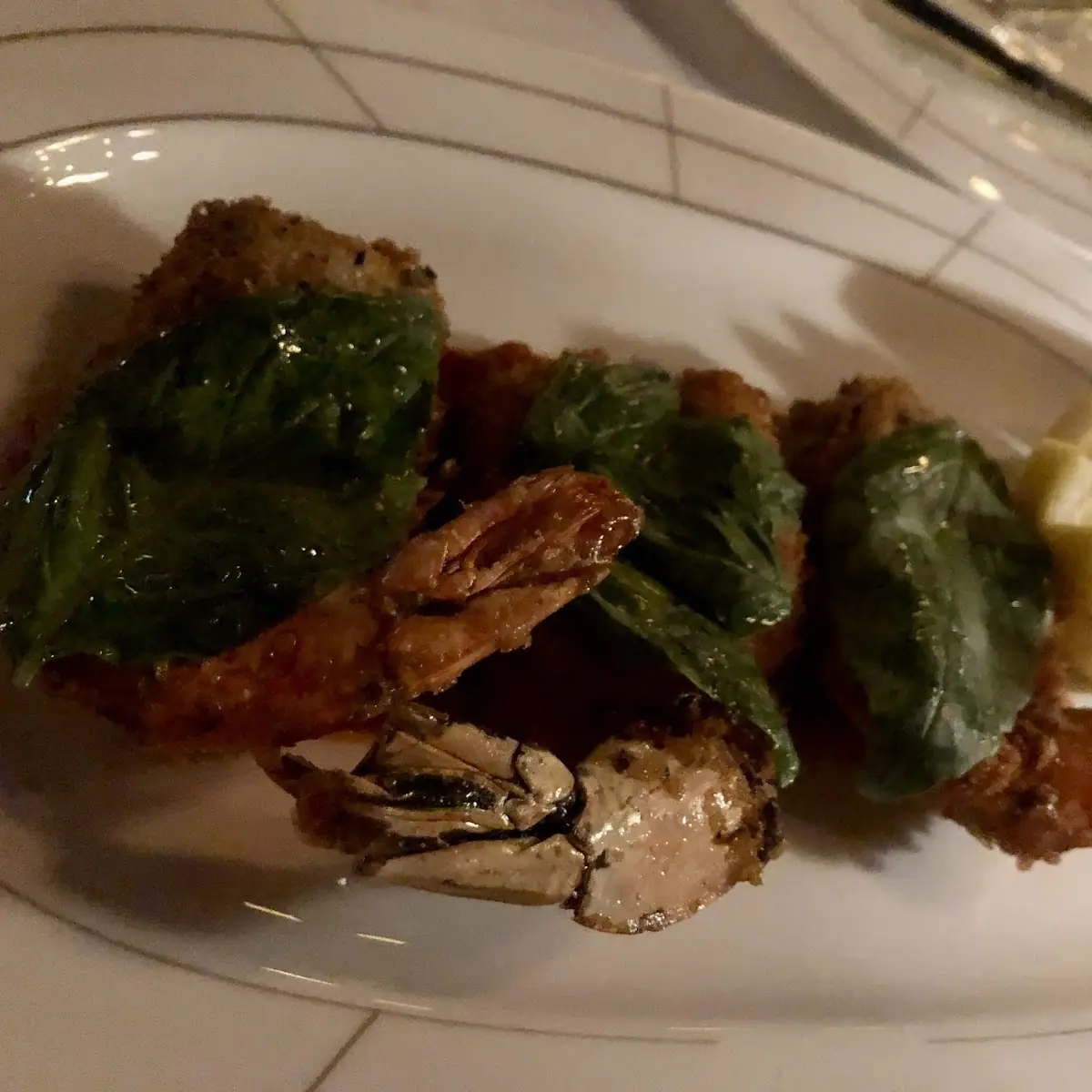Shrimp