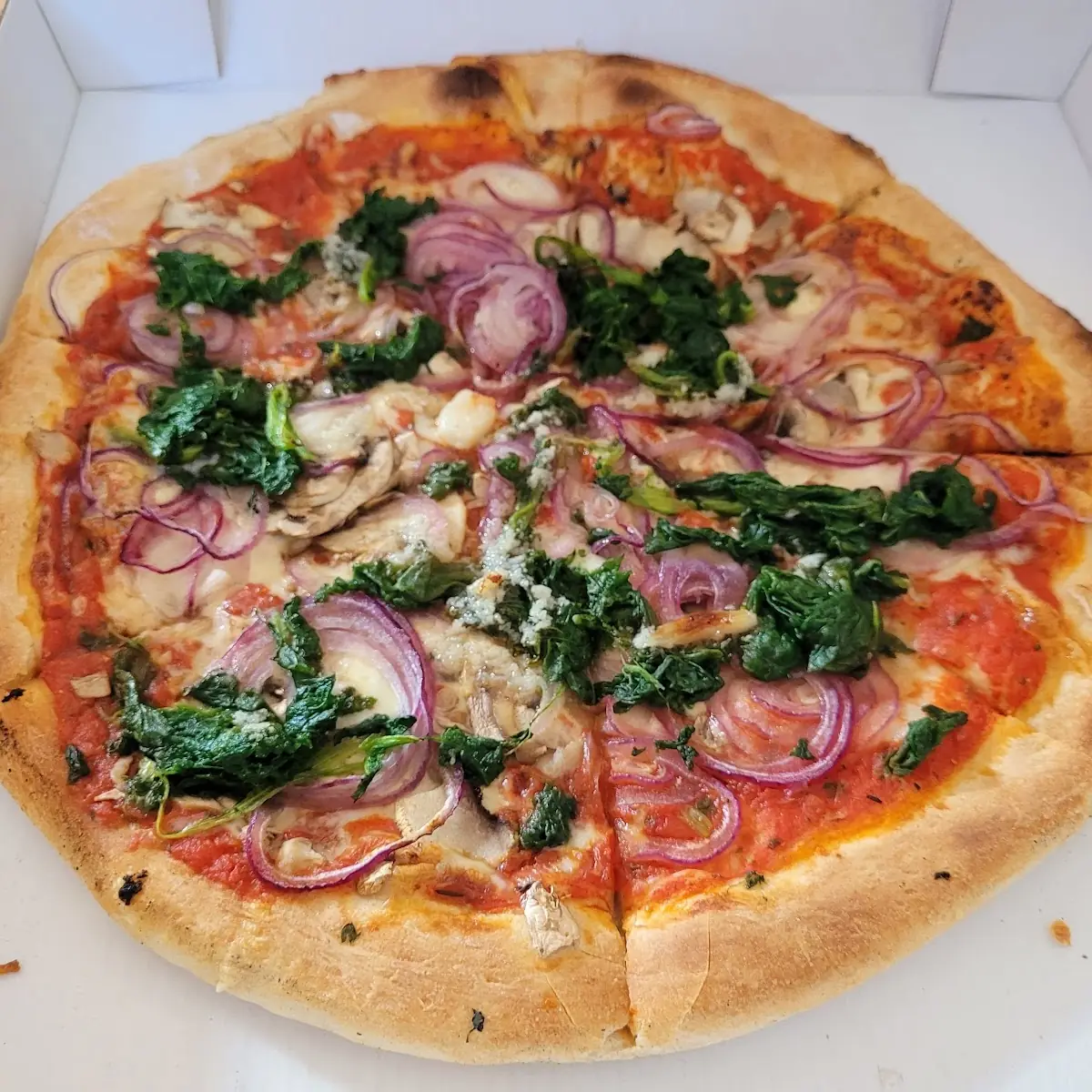 Pizza Pleos