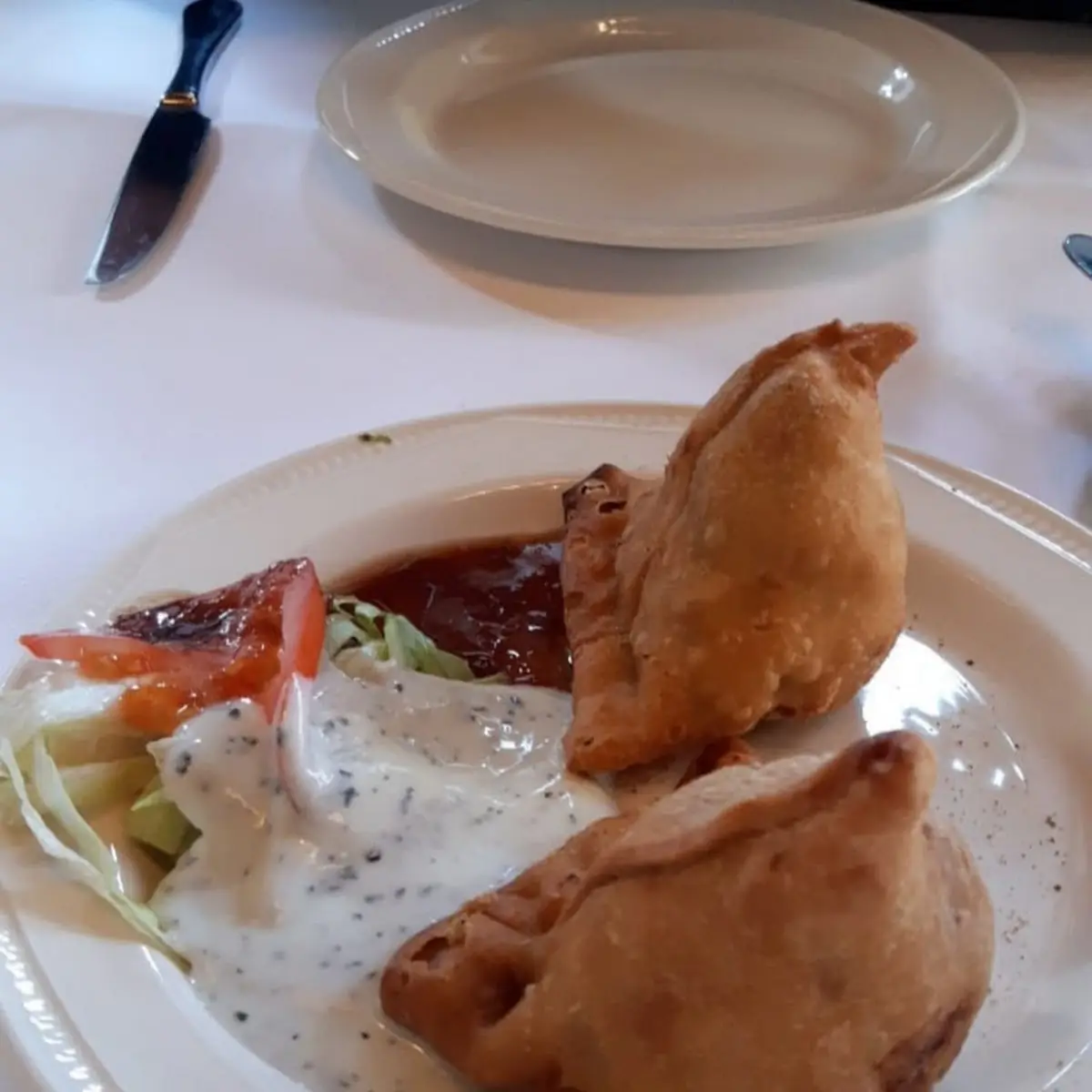 14 Samosa Vegan, Indian Palace Heidelberg