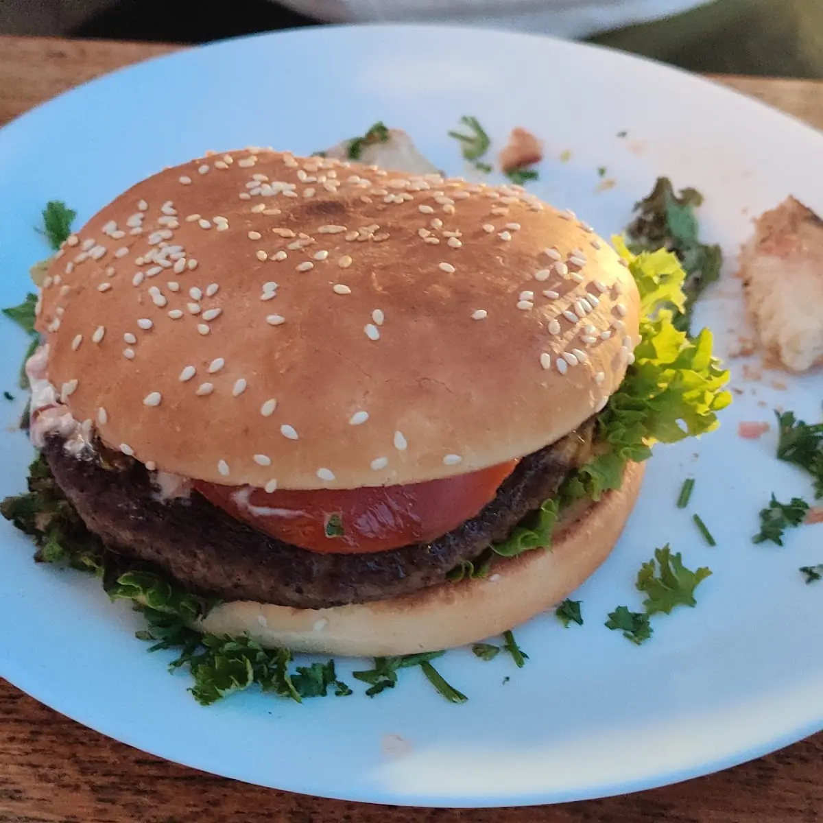 Hamburger